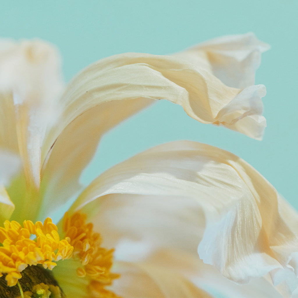Organic Skin Care Products Australia