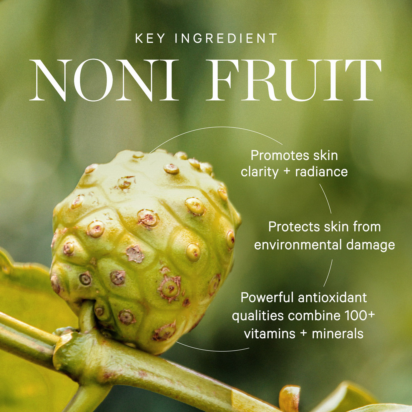 Noni Glow Body Oil 5